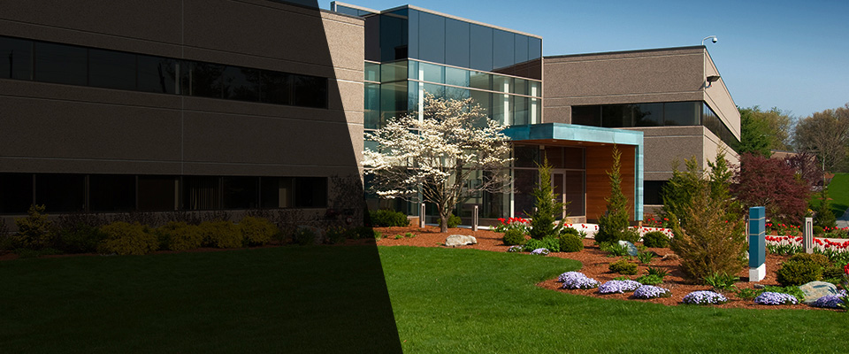 Mount Holly Landscapers