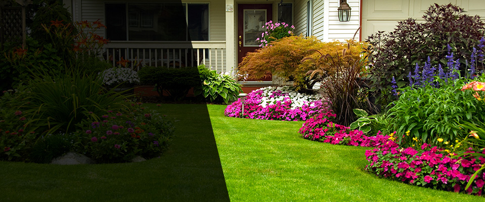 Mount Holly Landscapers