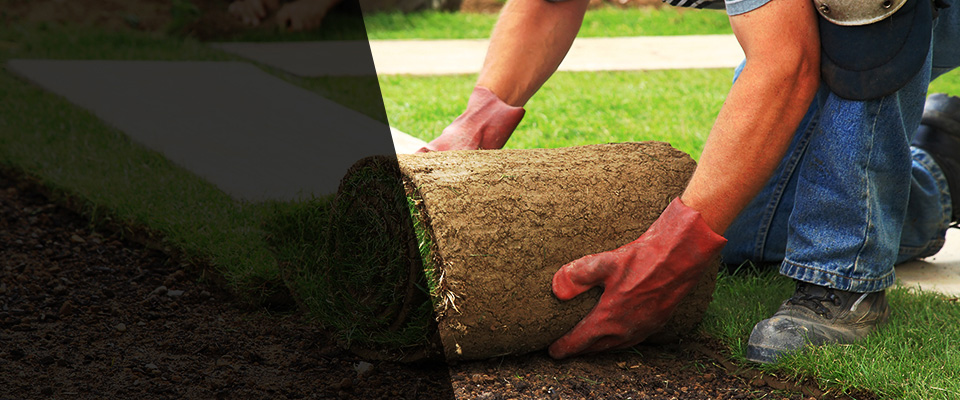 Mount Holly Landscapers